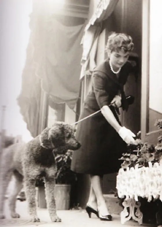 Gaullie, John F. Kennedy's French Poodle